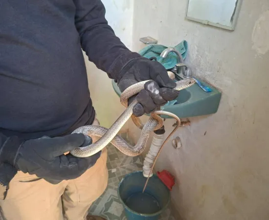 Xoxocotlán: Protección Civil responde con más de 100 servicios durante vacaciones