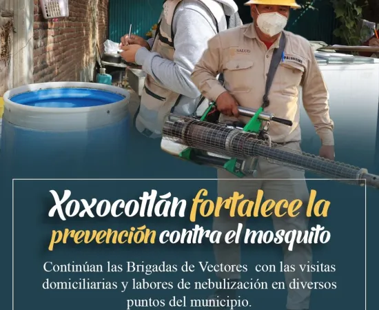 Sin tregua contra el Dengue en Xoxocotlán