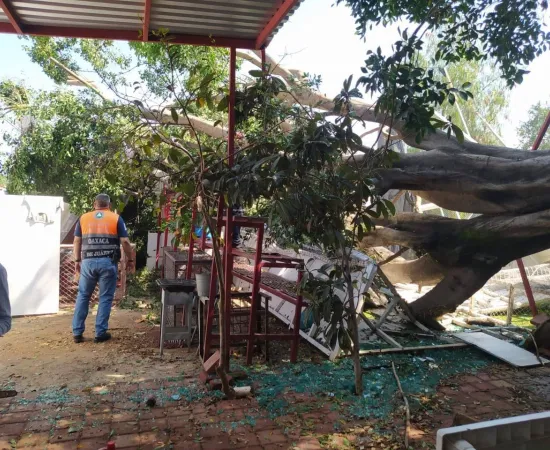Continúan trabajos de atención y monitoreo en Oaxaca de Juárez tras lluvias