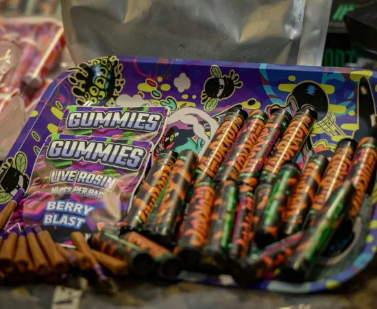 Desmantelan punto de narcomenudeo, aseguran más de 30 kilos de drogas; hallan “tienda cannábica” en Centro Histórico de Oaxaca