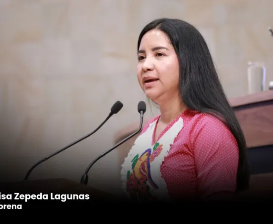 Desde el Congreso del Estado proponen ampliar el concepto de Comunidades Indígenas y asegurar el acceso efectivo a la justicia
