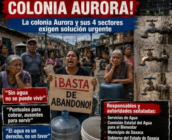 Desvío millonario, factureras y lujos en la CEABIEN