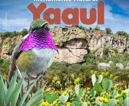 ¡Hoy celebramos el 27º Aniversario del Conanp-Monumento Natural Yagul!
