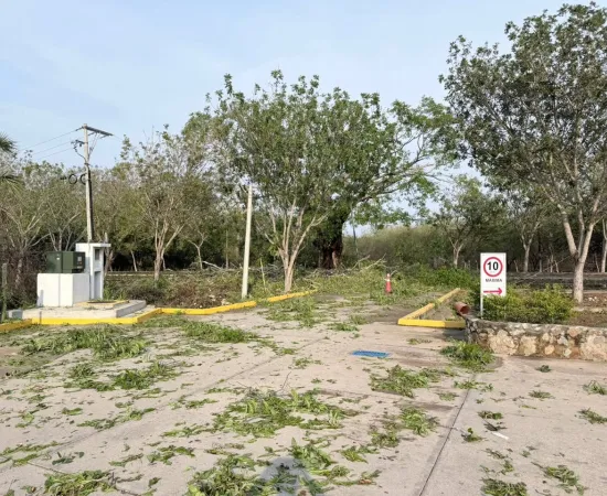 Gobierno de Oaxaca activa protocolo de atención tras tormenta registrada en San Francisco Ixhuatá