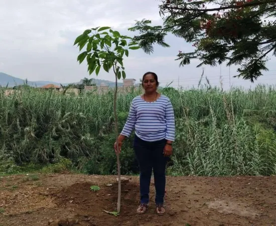 Más de 8 mil árboles fortalecen estrategia ambiental en Santa Lucía del Camino