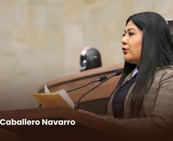 “Los problemas de México los vamos a resolver las y los mexicanos, sin tutelas ni presiones del exterior”: diputada Tania Caballero
