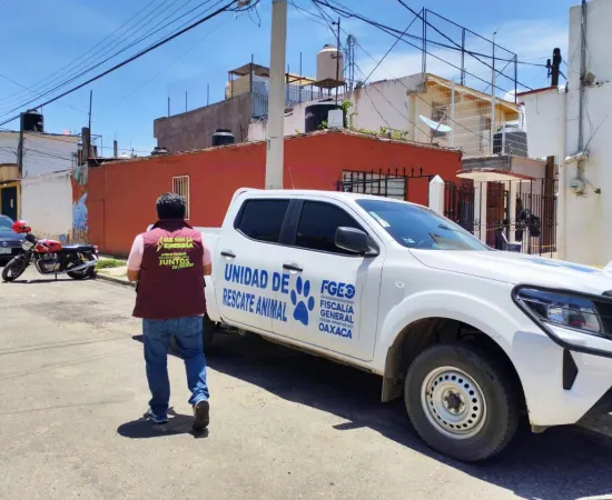 Municipio de Oaxaca de Juárez atiende denuncia por presunto maltrato animal