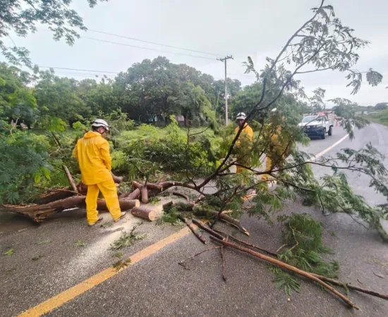  Protección Civil Juchitán responde a reportes ciudadanos y realiza acciones preventivas en diferentes sectores