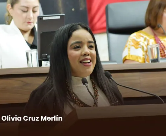Llaman desde el Poder Legislativo a garantizar el derecho a la comunicación a través de la LSM