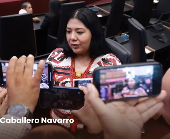 Congreso del Estado revisa leyes de movilidad para garantizar el bienestar de la capital: Tania Caballero Navarro