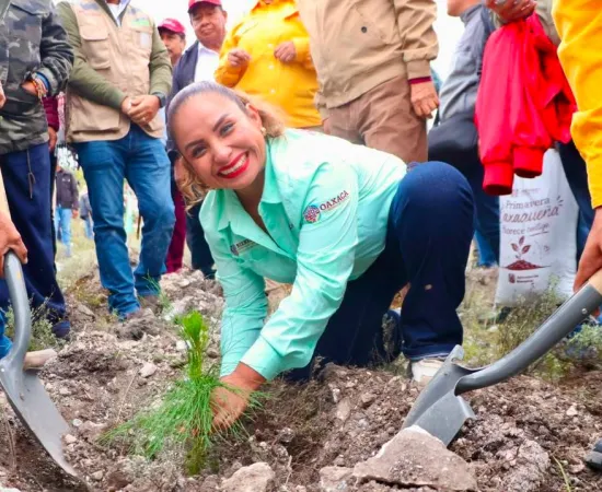 Llevan Mega Tequio de Reforestación en Villa Tejupan de la Unión