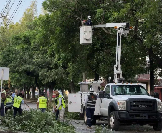 Mejor alumbrado y poda de árboles en calz. Tecnológico