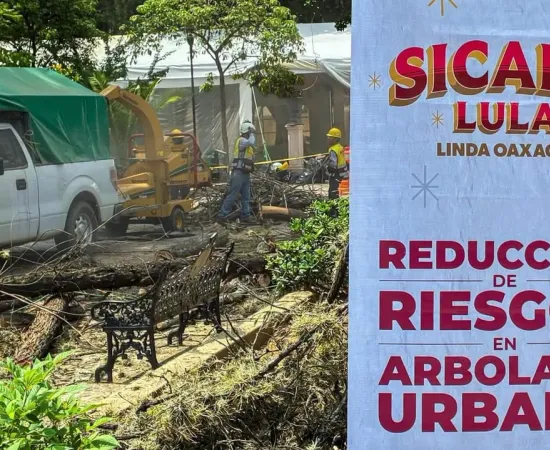 Gobierno de Oaxaca de Juarez prioriza el cuidado del arbolado del Paseo Juárez El Llano