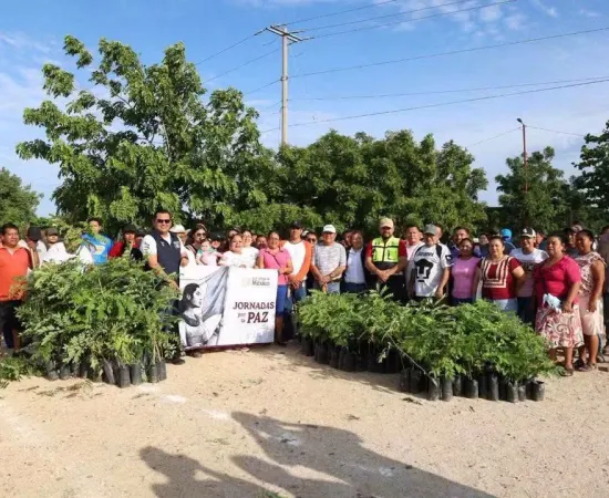 Gobierno de Juchitán se suma a la Jornada Nacional de Reforestación