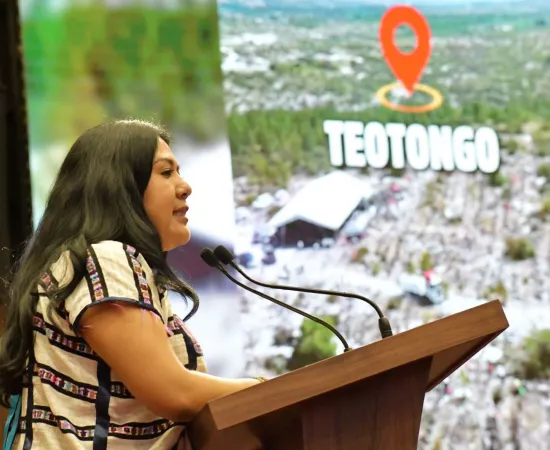 ​Destaca diputada Tania Caballero impacto de la Jornada Nacional de Reforestación en Oaxaca y la Mixteca