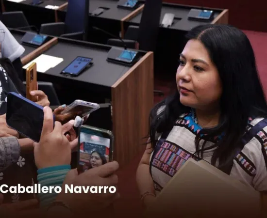 “Las diputadas somos aliadas de las mujeres que quieren participar en la vida pública”: Tania Caballero