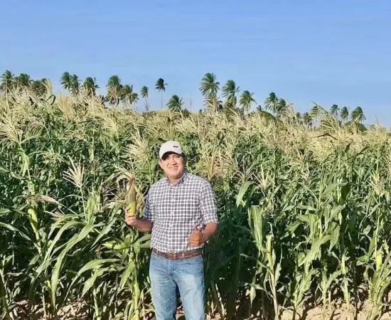 Fortalece Oaxaca su producción de maíz y avanza hacia la autosuficiencia alimentaria: Nino Morales