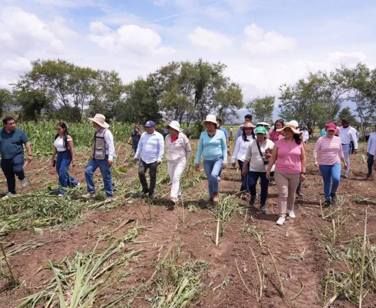 Recupera Ayuntamiento de Santa Cruz Xoxocotlán casi cuatro hectáreas de predio