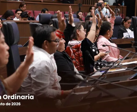 Presenta iniciativa para garantizar un entorno digital seguro a la niñez y adolescencia oaxaqueña*