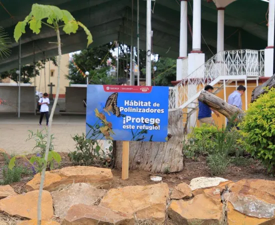 Instalan jardines polinizadores en Santa Cruz Xoxocotlán