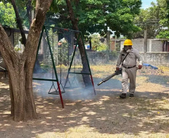 En Juchitán realizan jornada contra los mosquitos