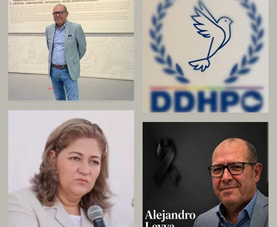 A LA DDHPO NO ES LLEGAR  PERFUMADA Y COMO EJECUTIVA, ES ELABORAR CON EFICIENCIA Y CERTEZA LAS CARPETAS