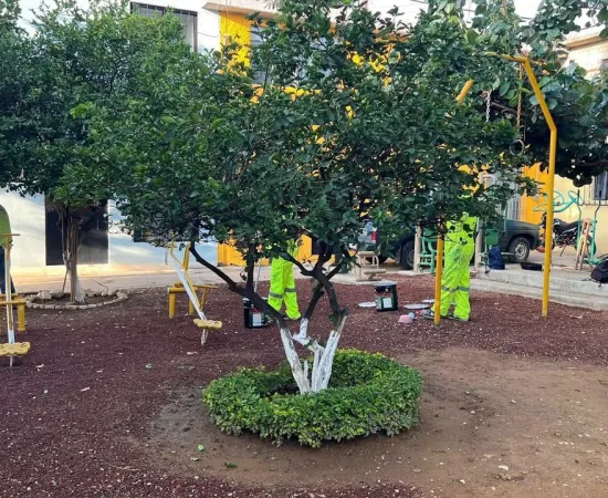 Tequio Vecinal mejora espacios públicos en la colonia Postal