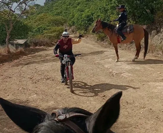 A caballo y con paso firme, Agrupamiento de Caballería refuerza la seguridad en Oaxaca de Juárez 