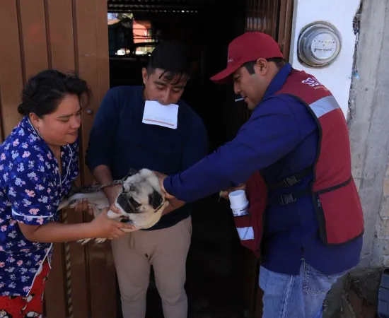 En Xoxocotlán se fortalecen acciones de prevención contra el gusano barrenador