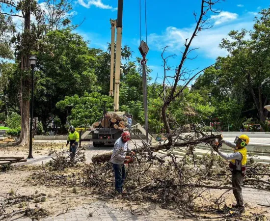 Oaxaca de Juárez fortalece acciones para el cuidado del medio ambiente