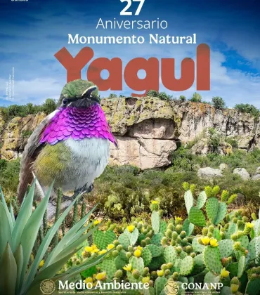 ¡Hoy celebramos el 27º Aniversario del Conanp-Monumento Natural Yagul!