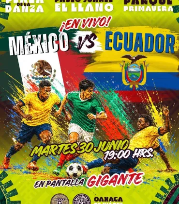 ¡La pasión mundialista se vive en Oaxaca de Juárez!