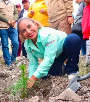 Llevan Mega Tequio de Reforestación en Villa Tejupan de la Unión