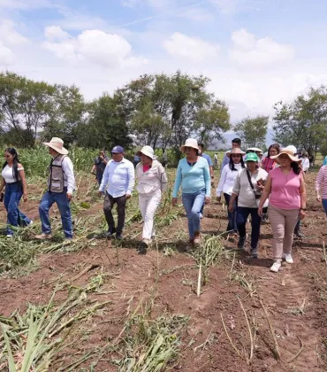 Recupera Ayuntamiento de Santa Cruz Xoxocotlán casi cuatro hectáreas de predio