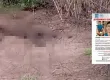 Localizan sin vida a joven reportado como desaparecido en Mixtequillafis