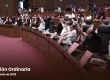 Reforman Ley Orgánica Municipal para crear Comisiones de Protección Animal en municipios con más de 100 mil habitantes