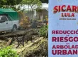 Gobierno de Oaxaca de Juarez prioriza el cuidado del arbolado del Paseo Juárez El Llano