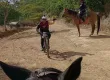 A caballo y con paso firme, Agrupamiento de Caballería refuerza la seguridad en Oaxaca de Juárez 